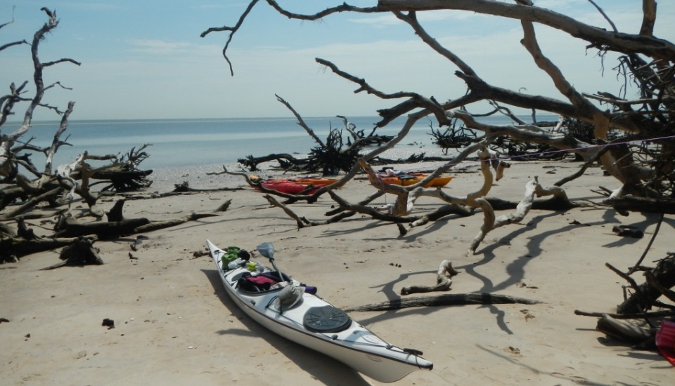 Big Talbot Island Kayaking in Jacksonville Amelia Island