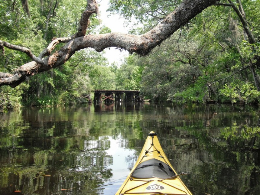 Kayaking on Amelia Island The 3 Best Kayak Adventures on Amelia Island